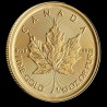 CANADA 5 Dollars Or 1/10 Once Maple Leaf 2026 ⏰