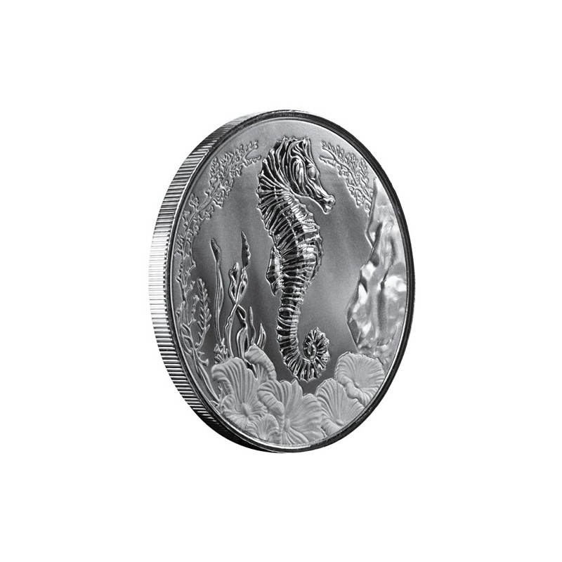 SAMOA 2 Tala Argent 1 Once Hippocampe 2025 ⏰