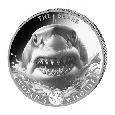 CONGO 20 Francs Argent 1...